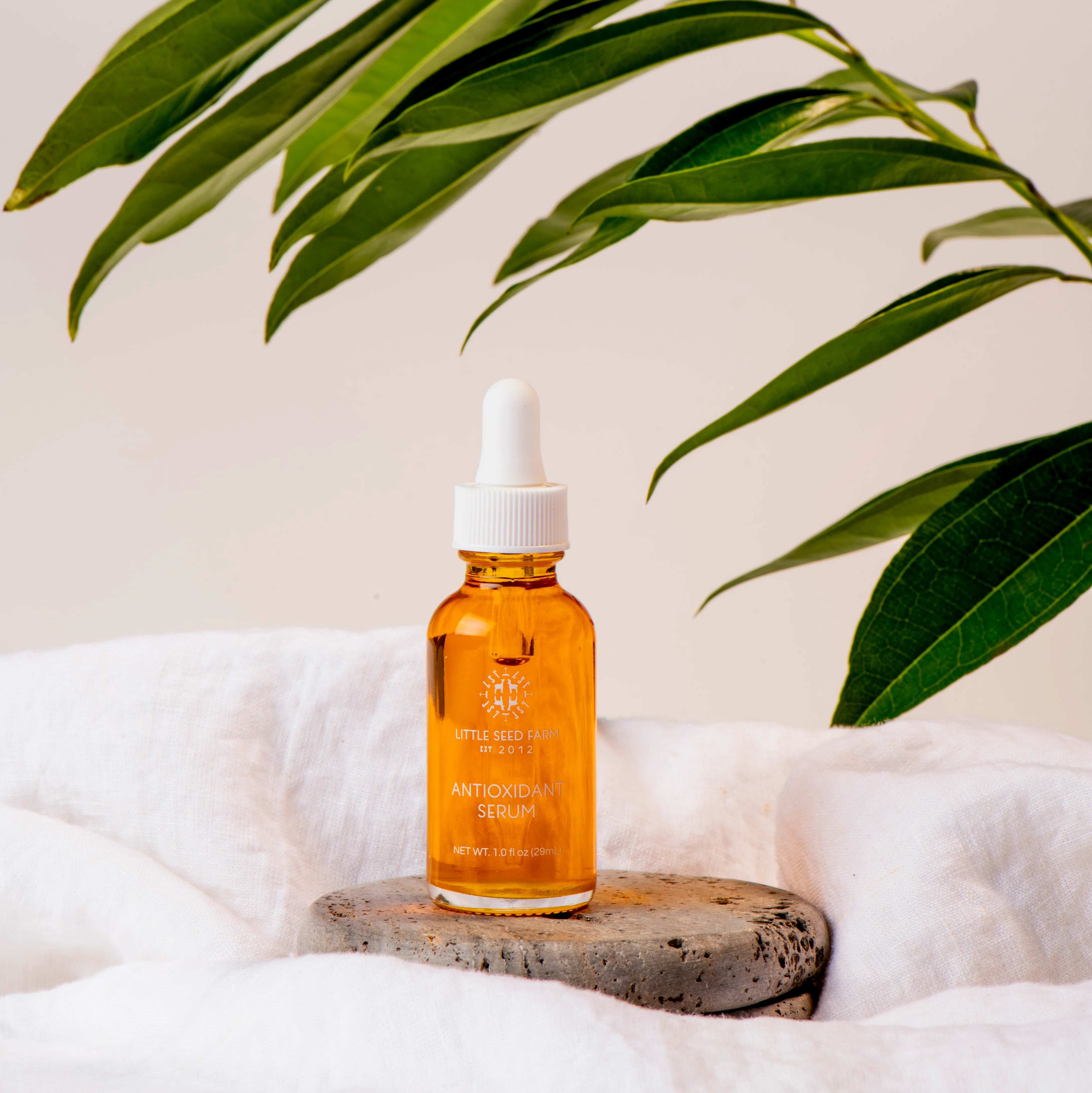 Antioxidant Serum - Image 5