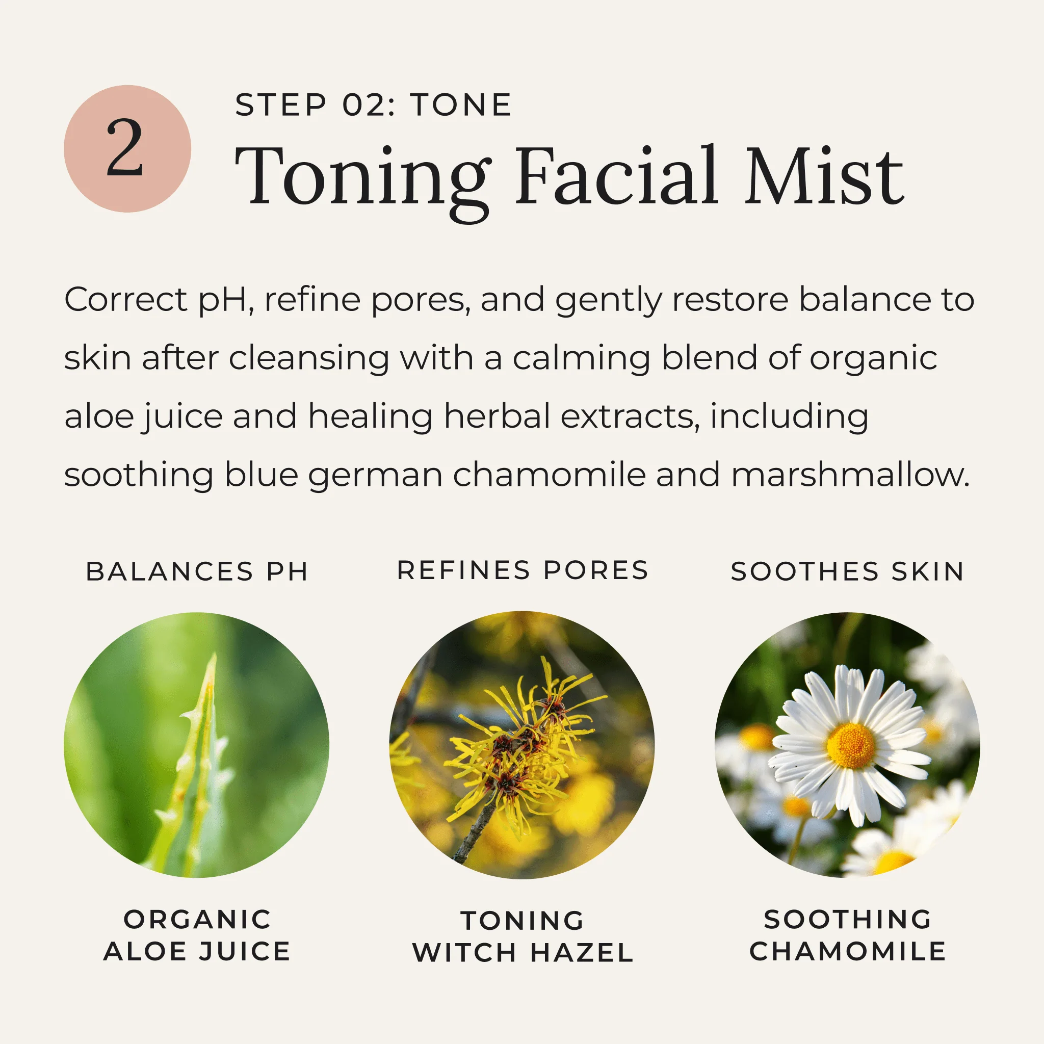 Renewed Skin — 3-Step Skin Care Set - Image 3
