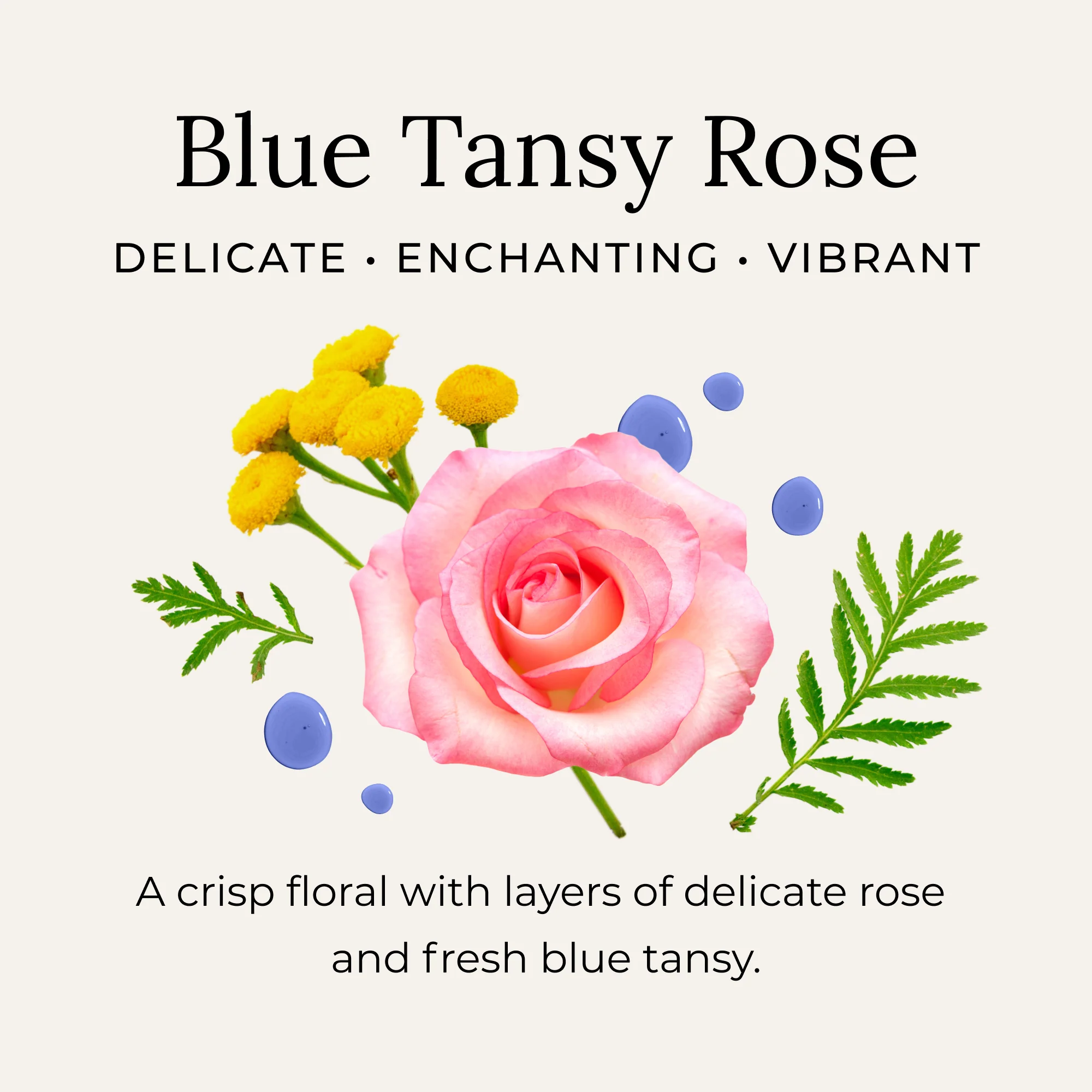 Blue Tansy Rose Deodorant Cream - Image 2