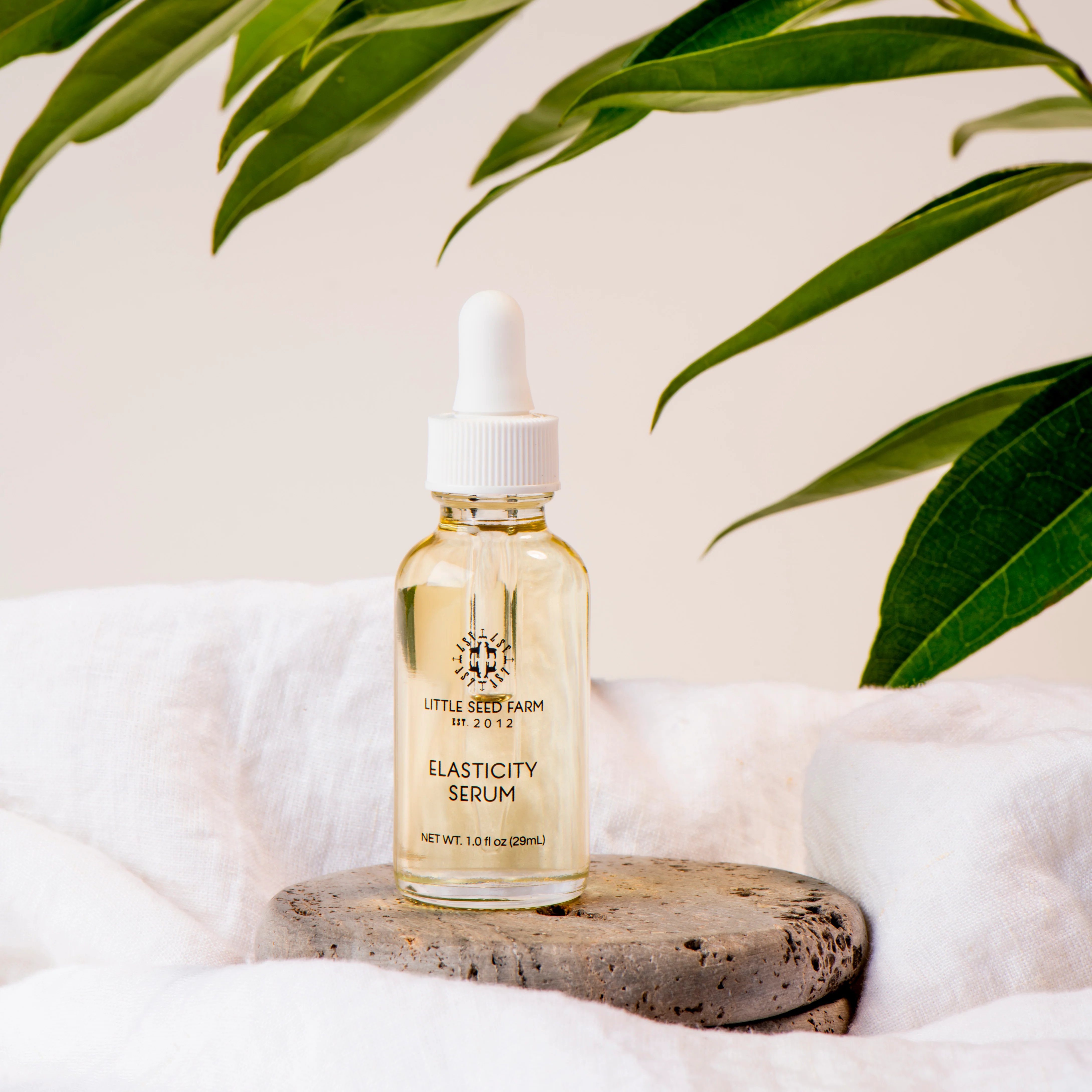 Elasticity Serum - Image 4