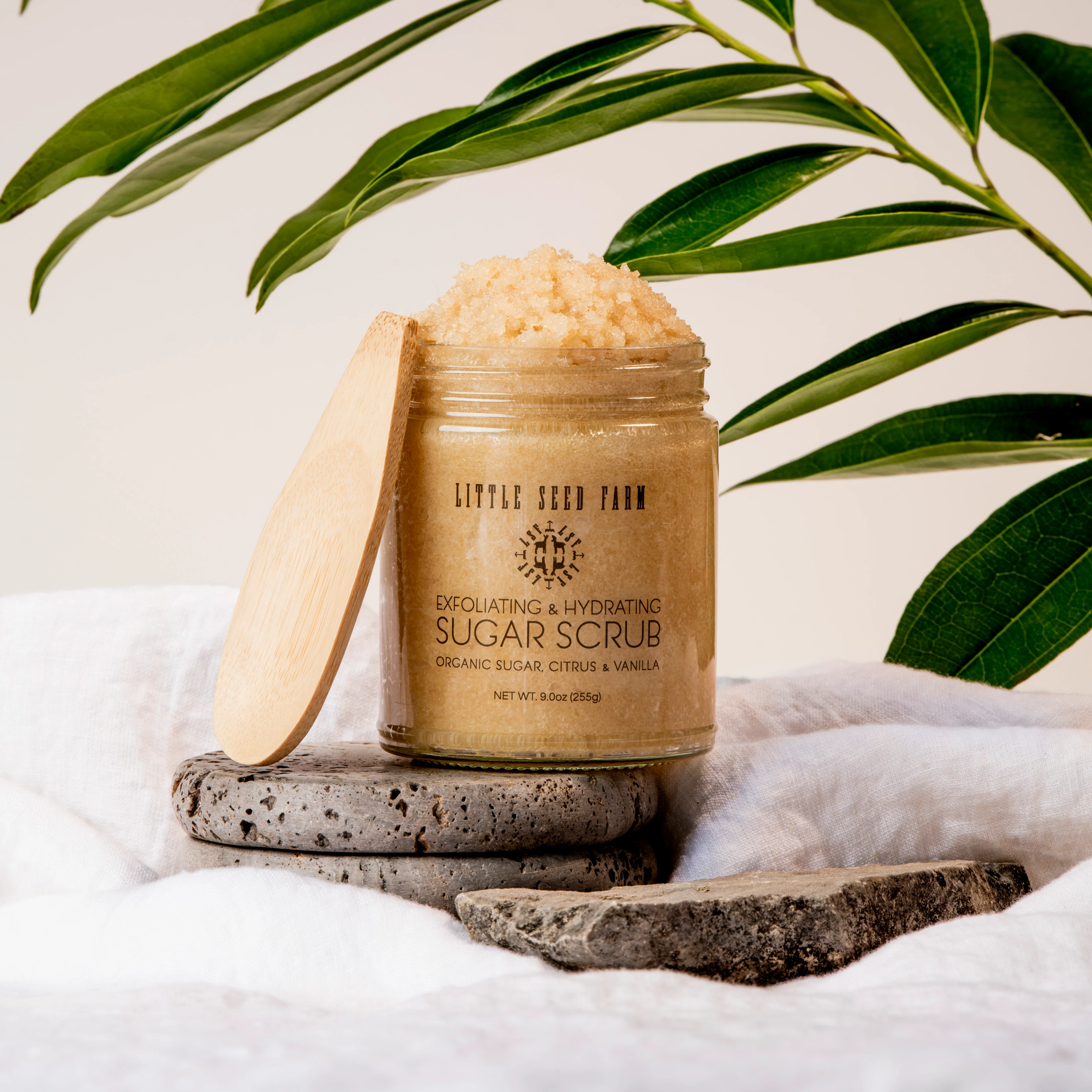 Organic Sugar Scrub - Image 4