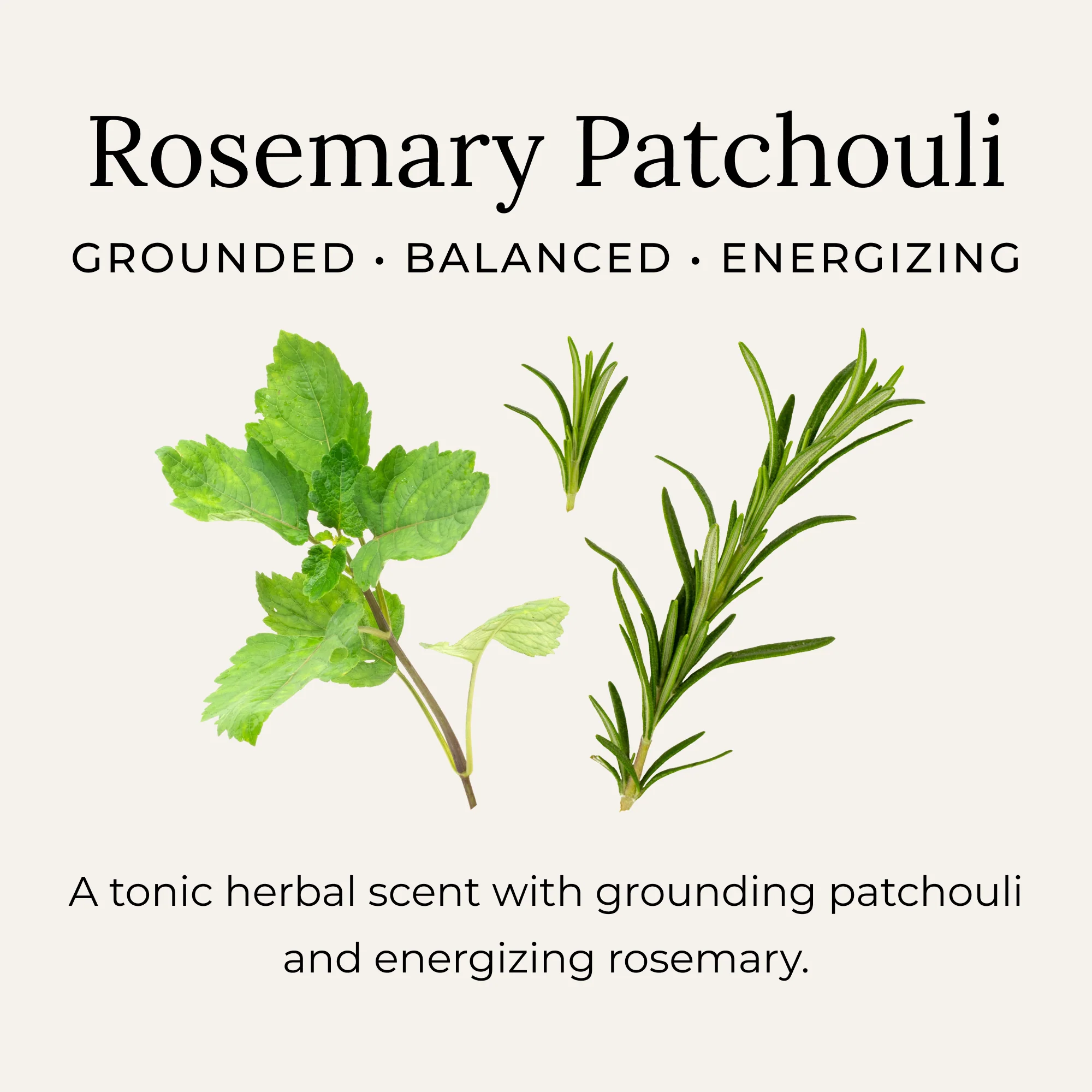 Rosemary Patchouli Deodorant Cream - Image 2